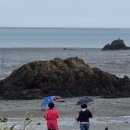 착한 할머니인가? 이미지