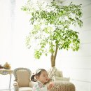 (주)스튜디오아이레 | 아이레 스튜디오 원본 자랑해요~