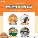 이츠펫(청당점) 이미지