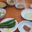 태양칼국수 - 밀양시 | 태양칼국수