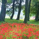 스포츠파크 해안도로 이미지