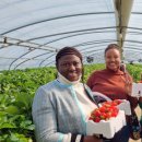 삼례공영주차장 이미지