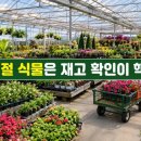 대림조경자재