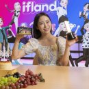 이프랜드 이미지
