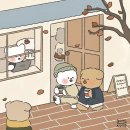 가배카페 | 세종 가배서림 금남면 브런치카페 내돈내산 솔직후기