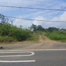 한림읍사무소 이미지