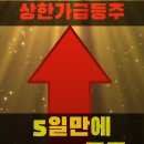 [상한가급등주] 5일만에 241% 급등한 피코그램 (3일연속 상한가) 이미지