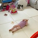D+465일~468일 : 15개월 아기/상하목장 유기농 우유 첫 시식/아람 자연이랑 전집/서랍 열기 시작/예쁜...