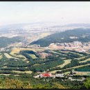 현충원로(유성-19) 네이버블로그