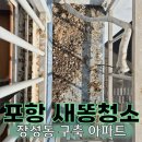 포항 청소업체 후기 | 새똥 때문에 베란다 환기도 못해요... 이렇게 해결했습니다!