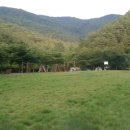 청송자연휴양림 이미지