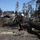 망상오토캠핑리조트 이미지