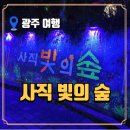 사직 지하철역(1호선) | 광주 사직공원 빛의 숲 방문 후기 | 환상적인 광주 야경 명소 완전 정복