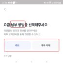 모요 이미지