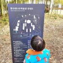 한국대나무박물관 | 담양 한국대나무박물관에 다녀온 후기