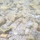 호수민박 이미지