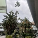 맨도롱하우스 민박 | [제주] 2박 3일 제주도여행 일정, 비용 | 1월 겨울 제주도여행