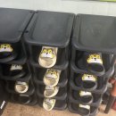 신양농협 하나로마트 산정점 | [호랑이캠핑 포천 산정호수점 후기] 서울 근교 가족 글램핑장 추천