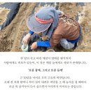 24년 햇깨로 짠 국산 들기름 참기름 판매 이미지