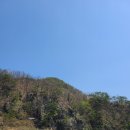 광판팔뚝김밥 이미지