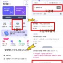 페이누리_구