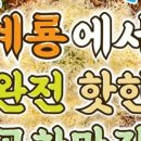 계룡야채