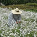 참조은식품 이미지