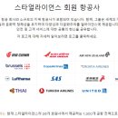 스카이팀 이미지