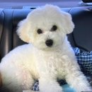 에브리 뽀송 이미지