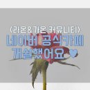 가온커뮤니티 이미지
