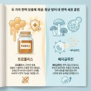 (주)글루칸 | 프로폴리스 vs 베타글루칸 비교 | 면역 영양제 상황별 선택 가이드