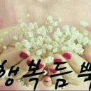 모든일력 Daum카페