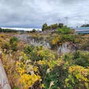 제주 서귀포 쇠소깍 이미지