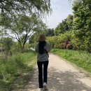 머내생태공원 이미지