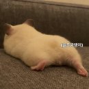 엠앤디 피트니스 이미지