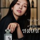 다이렉트글로벌