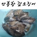 탑바다낚시마트