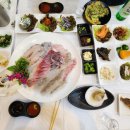 금강산횟집 | 속초대게맛집 장사항횟집추천 금강산활어횟집 푸짐한 2인세트 후기