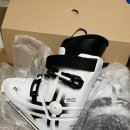 Snowskate