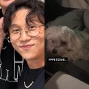 박성광 카카오 검색결과
