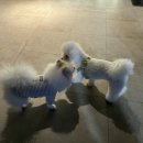 잔디게임방 이미지