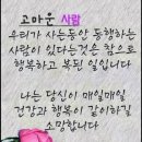 꼬망쎄 - 구리시 | 꼬망쎄