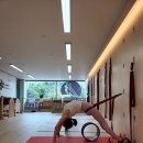 다옴메디월요가필라테스