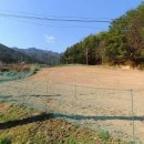 남면의원 이미지