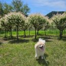 하림식당 이미지