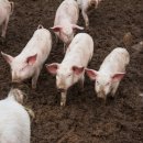 수경수산 이미지