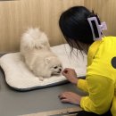 옐레드 부천상동점 이미지