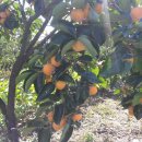 뉴한길공인중개사사무소 이미지