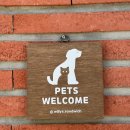 윌리스펫 이미지