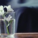 더테이블(The Table) 티스토리